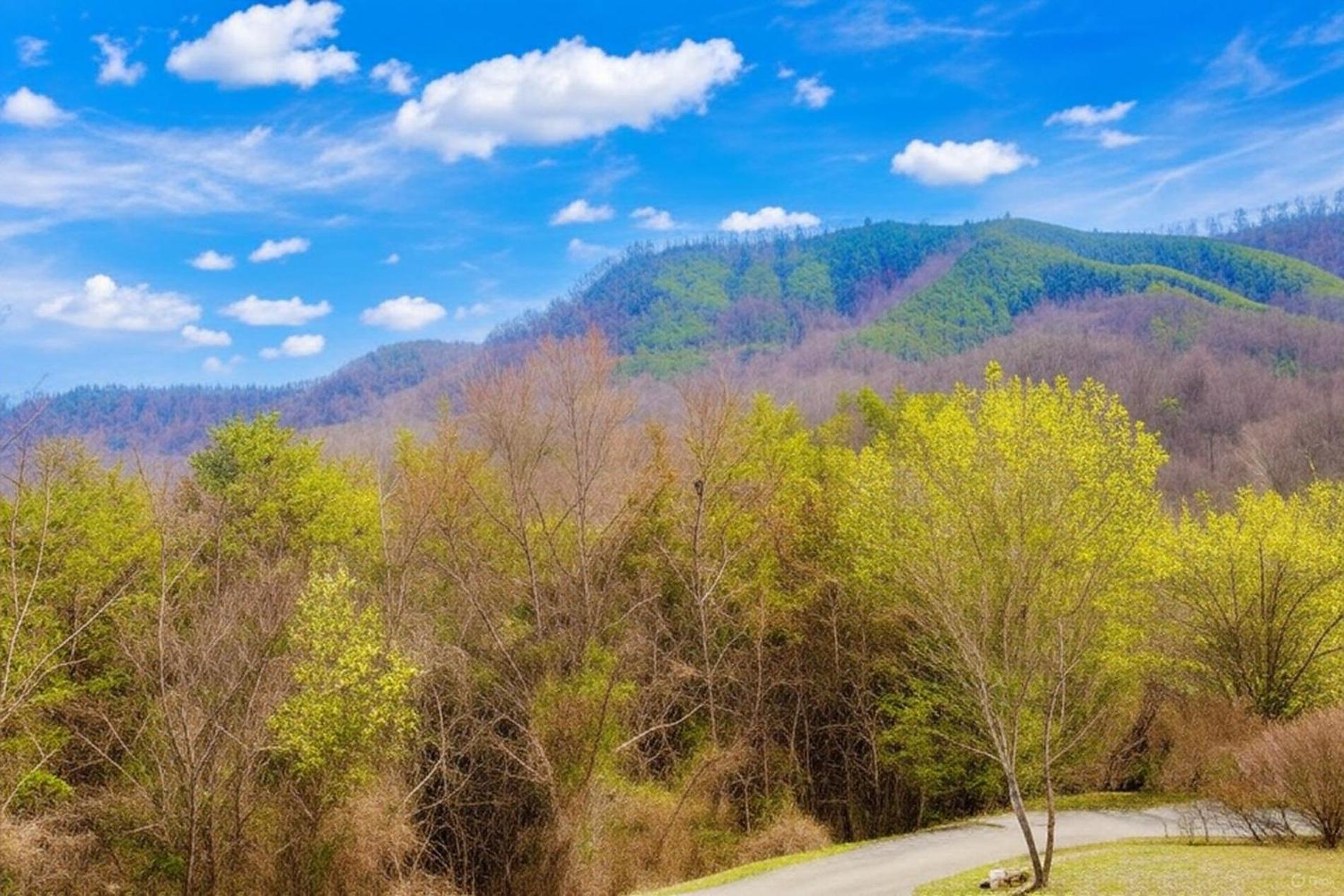 Smoky Bear Lodge With Guest House, Hot Tub, 1089 Free Tickets Each Paid Day, Dollywood And More เซอเวียร์วีล ภายนอก รูปภาพ
